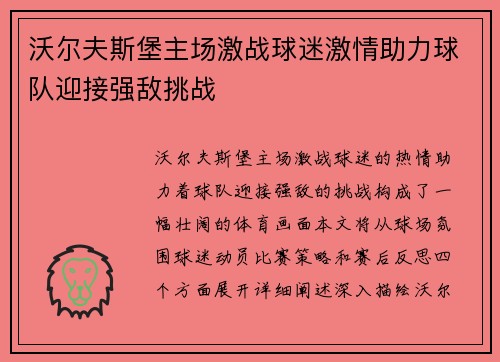 沃尔夫斯堡主场激战球迷激情助力球队迎接强敌挑战